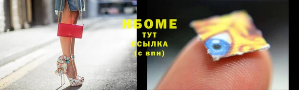 амф Алзамай