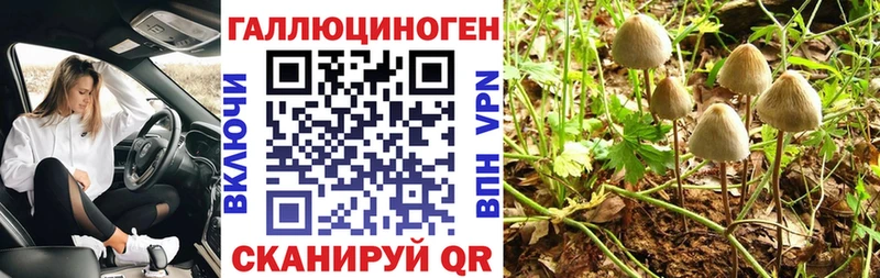 Псилоцибиновые грибы ЛСД  мега tor  Мегион 